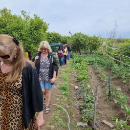 Cooking class in Sicily