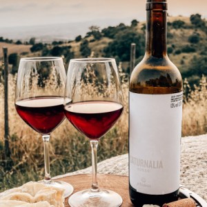 wine tasting in tuscany