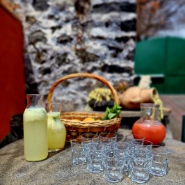 Sicily Lemon Tour & Farm to Table