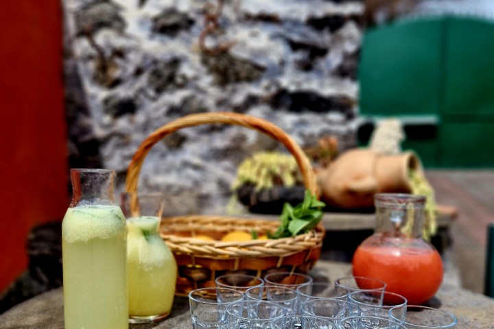 Sicily Lemon Tour & Farm to Table