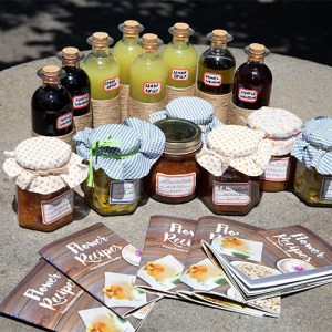 farm to table tour in Italy