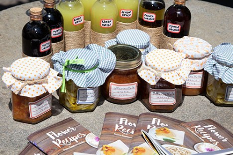 farm to table tour in Italy