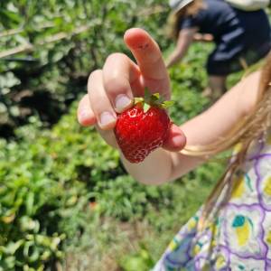 farm to table tour in Italy
