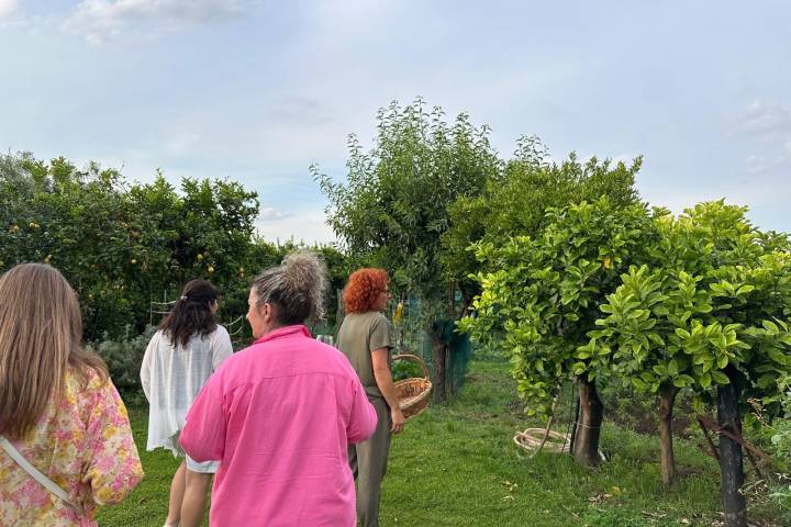 farm to table tour in Italy