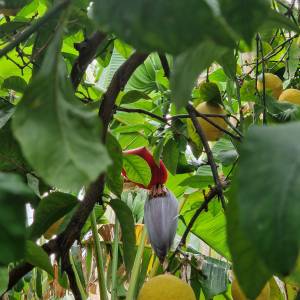 farm to table tour in Italy