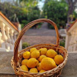 farm to table tour in Italy