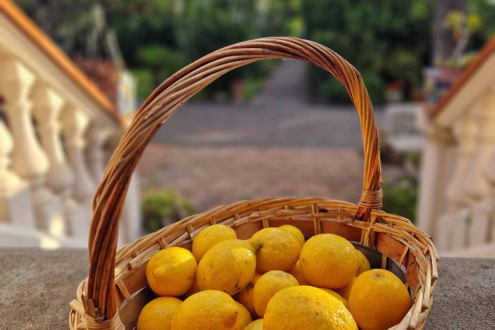 farm to table tour in Italy