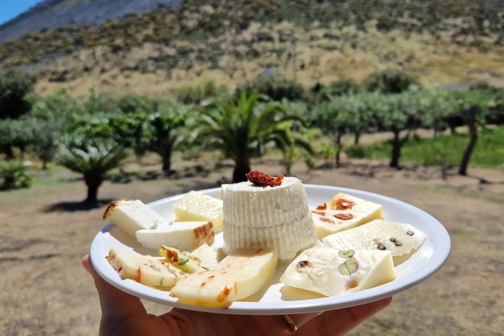 farm to table tour in Italy