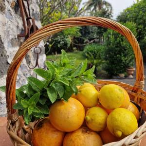 farm to table tour in Italy