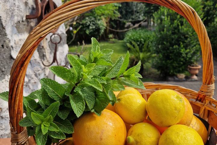 farm to table tour in Italy