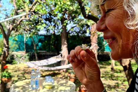 farm to table tour in Italy