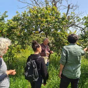 farm to table tour in Italy