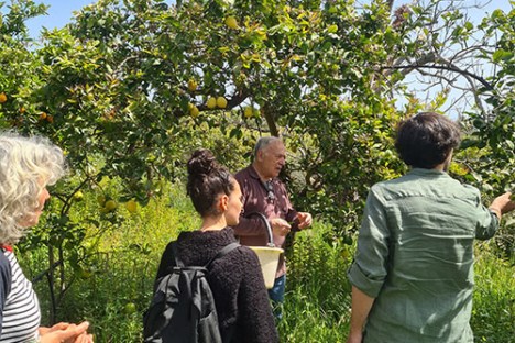 farm to table tour in Italy