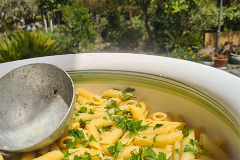 farm to table tour in Italy