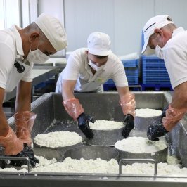 Tenerife Goat Cheese Experience