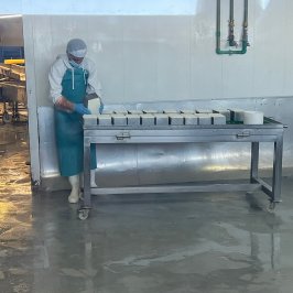 Tenerife Goat Cheese Experience