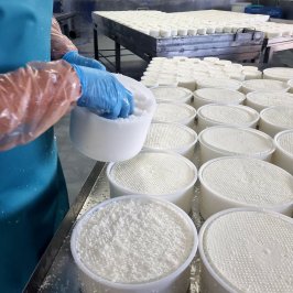 Tenerife Goat Cheese Experience