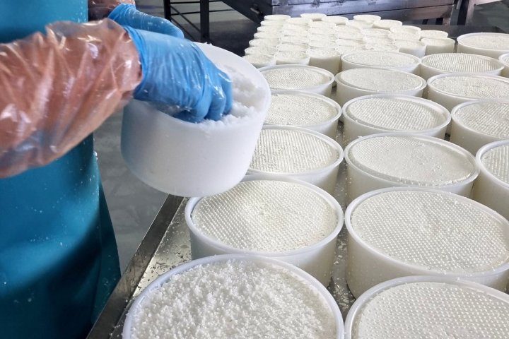 Tenerife Goat Cheese Experience