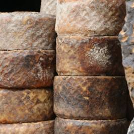 Tenerife Goat Cheese Experience