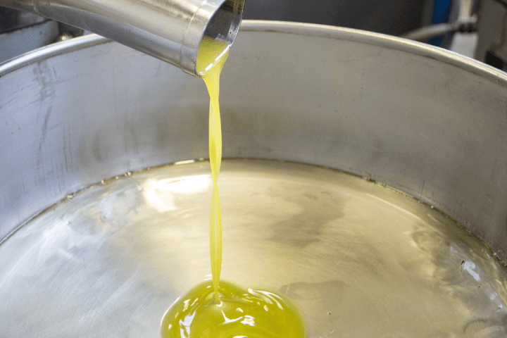Provence Olive Oil Gourmet Experience