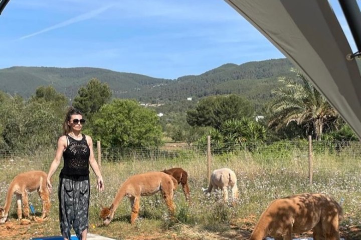 yoga ibiza farm