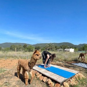 yoga ibiza farm