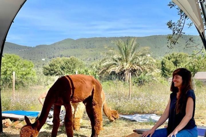 yoga ibiza farm