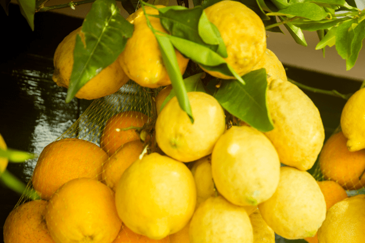 Florence limoncello Tour