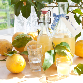 Florence limoncello Tour