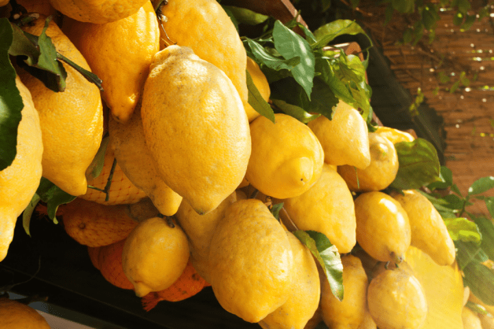 Florence limoncello Tour