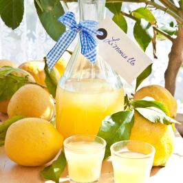 Florence limoncello Tour