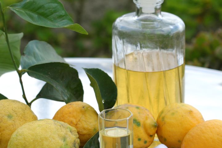 Florence limoncello Tour
