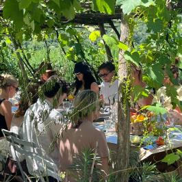 People dining outdoors under a grapevine canopy.