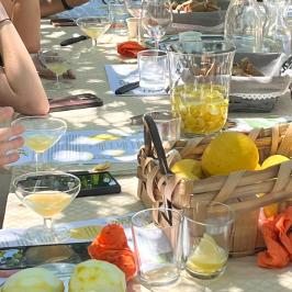 Outdoor table setting with lemons, glasses, and people gathered.
