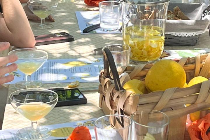 Outdoor table setting with lemons, glasses, and people gathered.