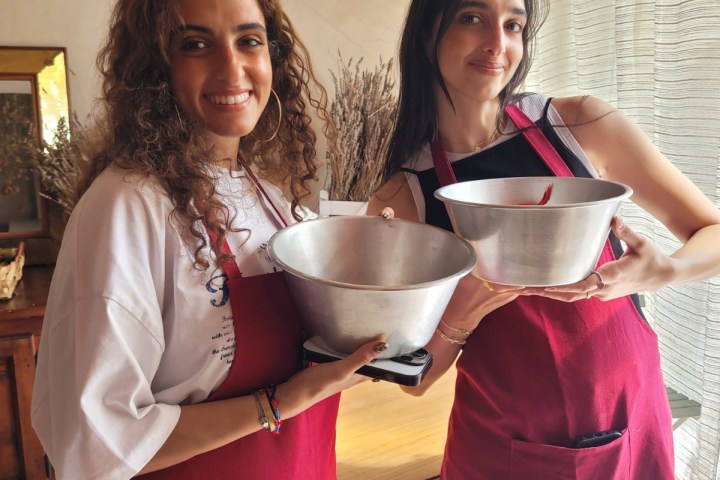 Adopt an olive tree in Italy