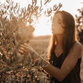 Adopt an Olive Tree in italy