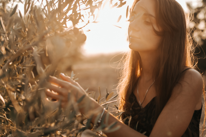 Adopt an Olive Tree in italy