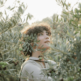 Adopt an Olive Tree in italy