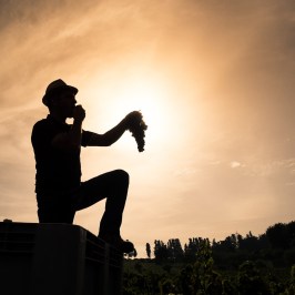 Fonterutoli Wine Tour