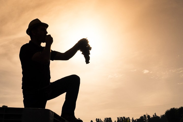 Fonterutoli Wine Tour