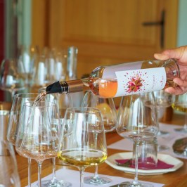 Fonterutoli Wine Tour