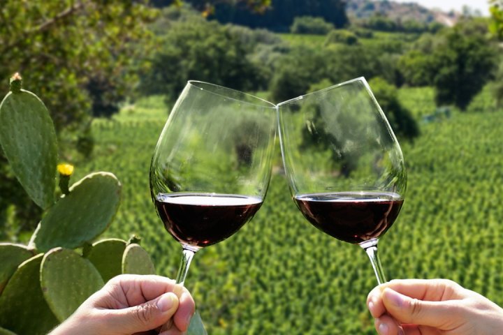 Fonterutoli Wine Tour