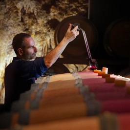 Fonterutoli Wine Tour