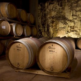 Fonterutoli Wine Tour