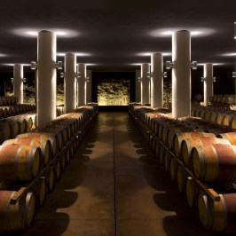 Fonterutoli Wine Tour