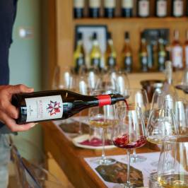 Fonterutoli Wine Tour