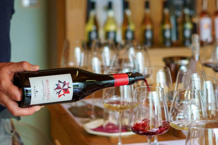 Fonterutoli Wine Tour