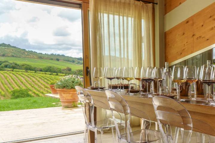 Fonterutoli Wine Tour