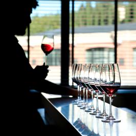 Fonterutoli Wine Tour